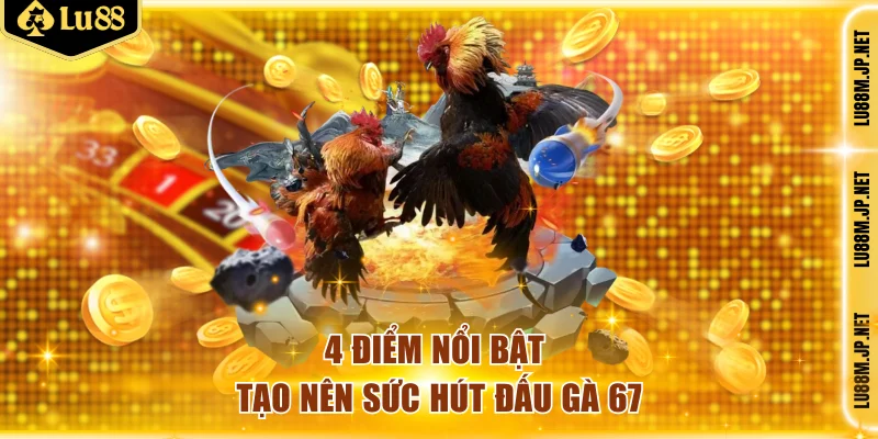 4 điểm nổi bật tạo nên sức hút đấu gà 67