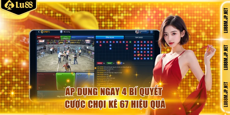 Áp dụng ngay 4 bí quyết cược chọi kê 67 hiệu quả