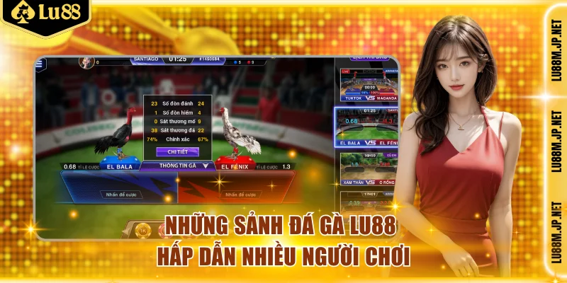 Những sảnh đá gà Lu88 hấp dẫn nhiều người chơi